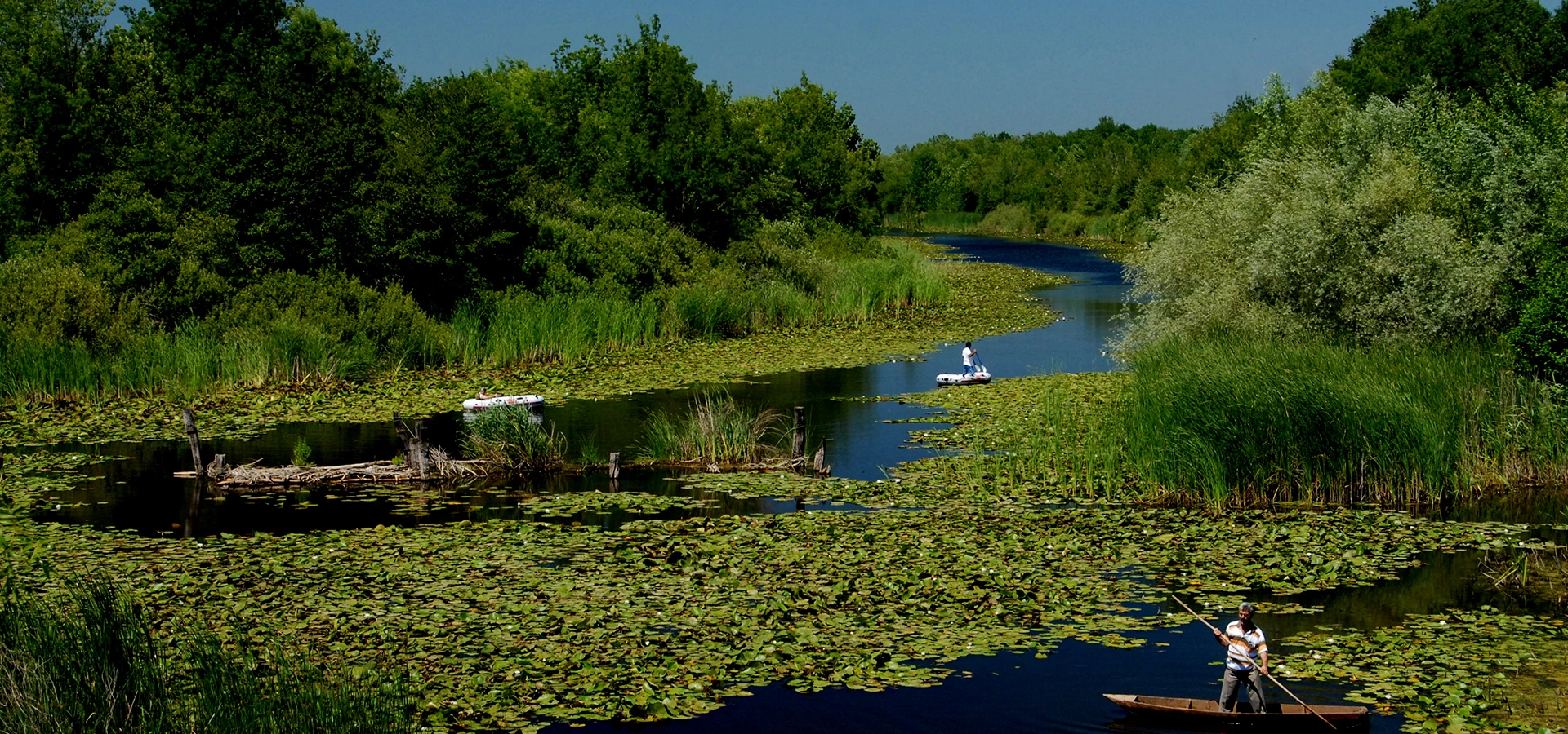 Acarlar Floodplain Forest Sakarya wetland woodland Turkey