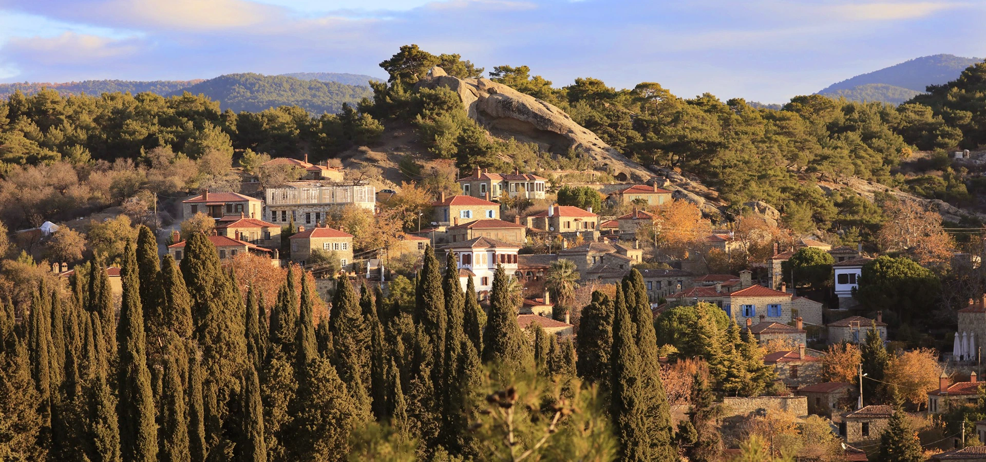 Private Yenice Forests nature and photography tour
