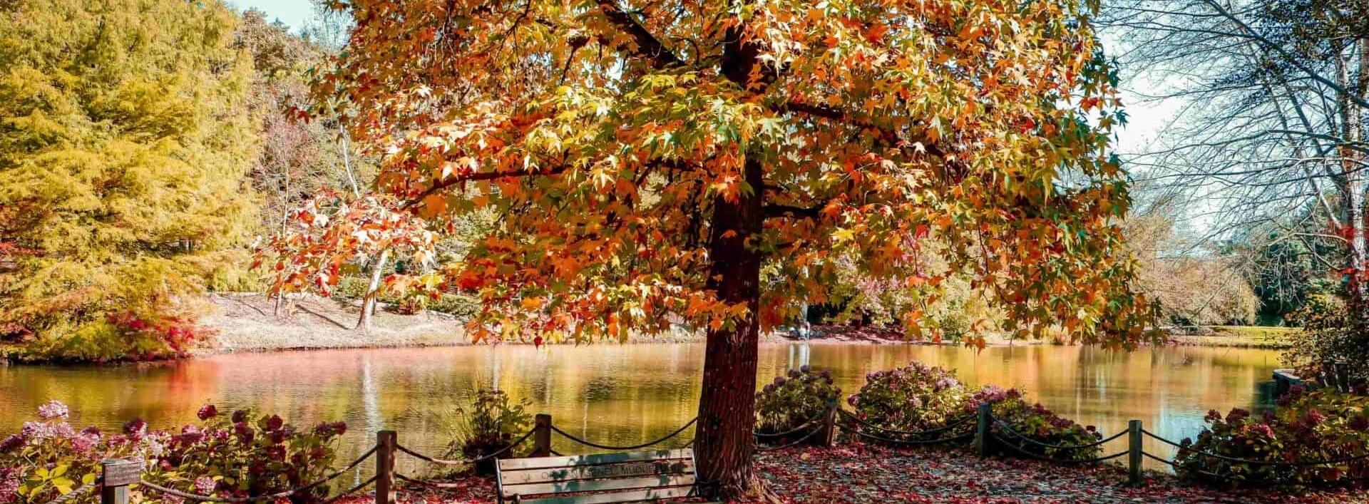 Ataturk Arboretum Istanbul botanical trees ponds Belgrad Forest Bahcekoy private nature tour