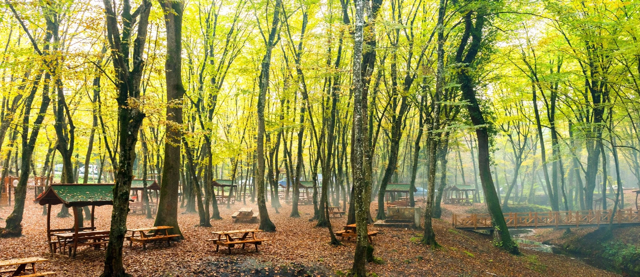 Belgrad Forest Istanbul private tour Ottoman dams reservoirs walking trails and historic water system