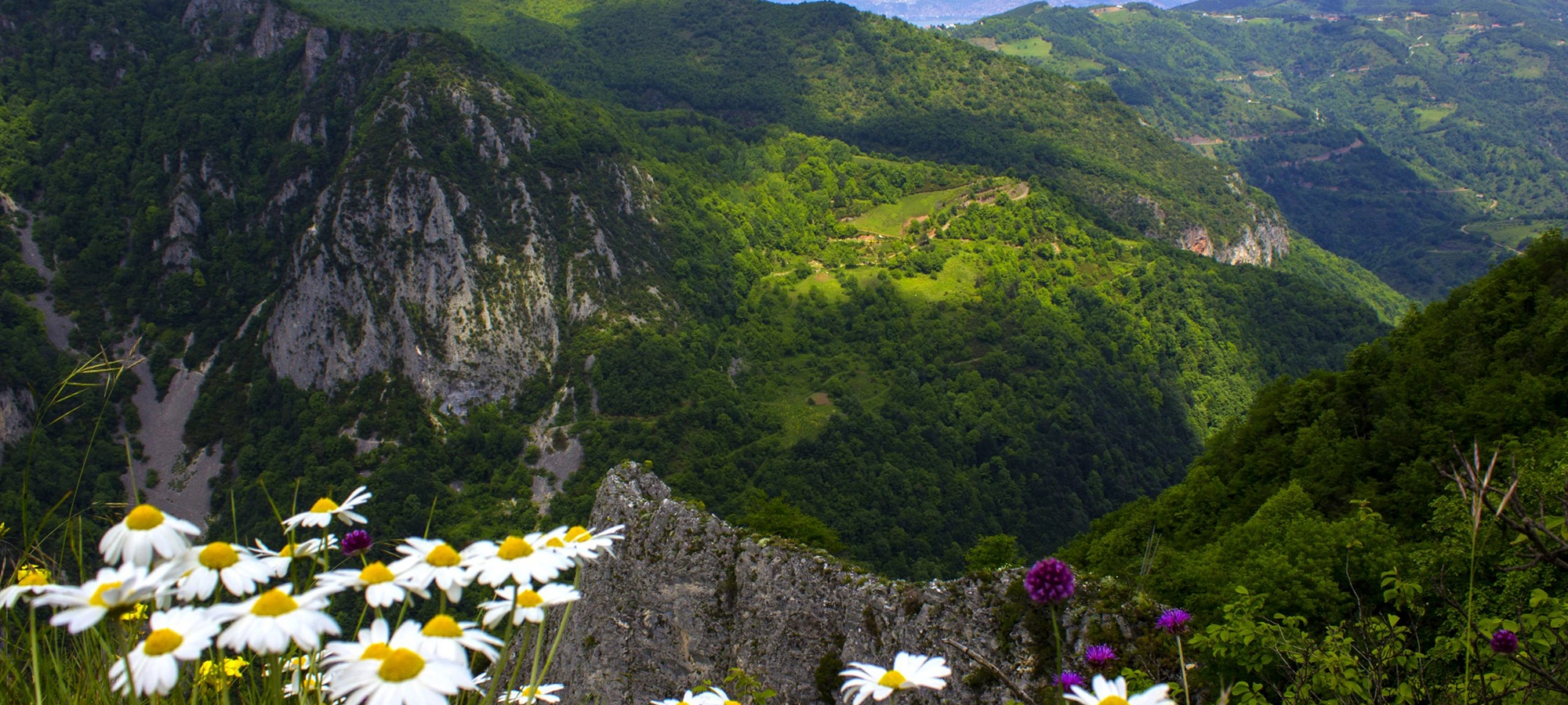 Beskayalar Nature Park Kocaeli forest canyon hiking landscape