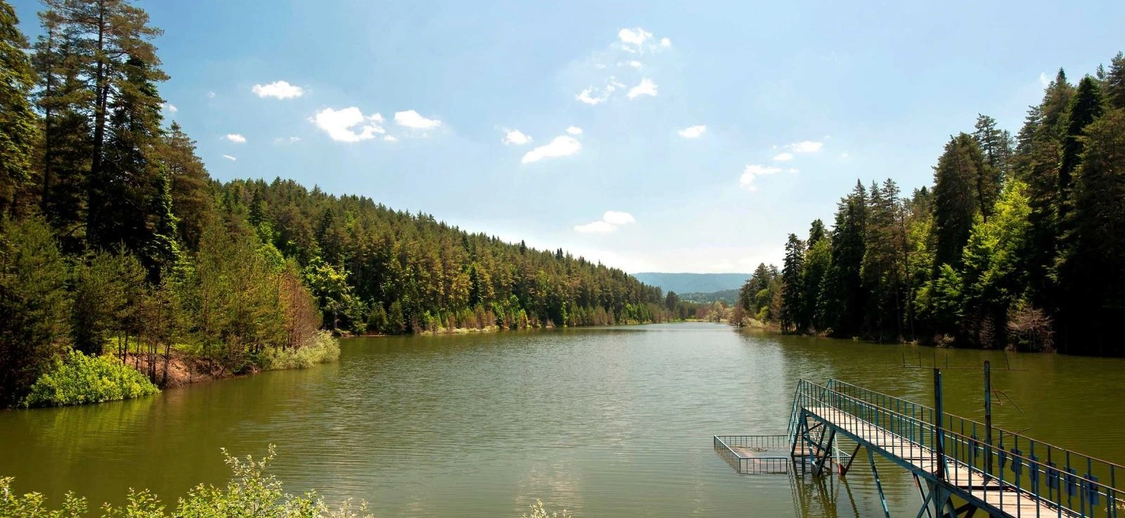 Bozcaarmut Pond Pazaryeri Bilecik Turkey