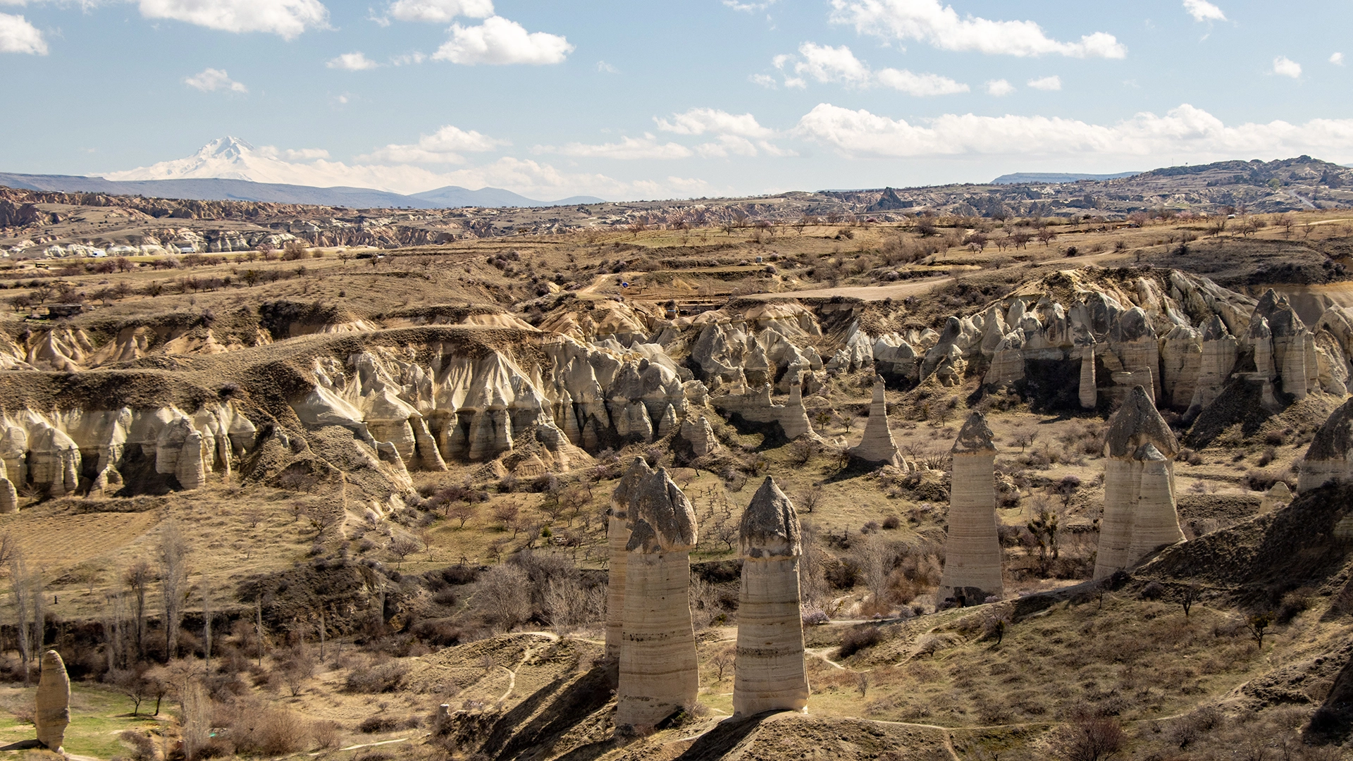 Cappadocia fairy chimneys landscape in Pasabag valley