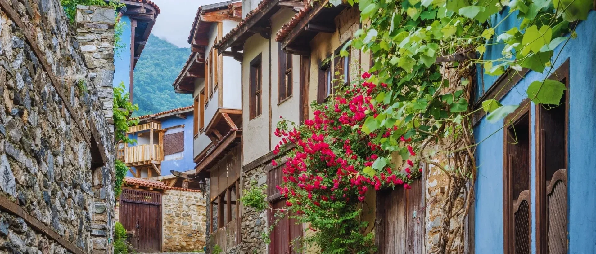 Private Bursa and Cumalikizik cultural tour