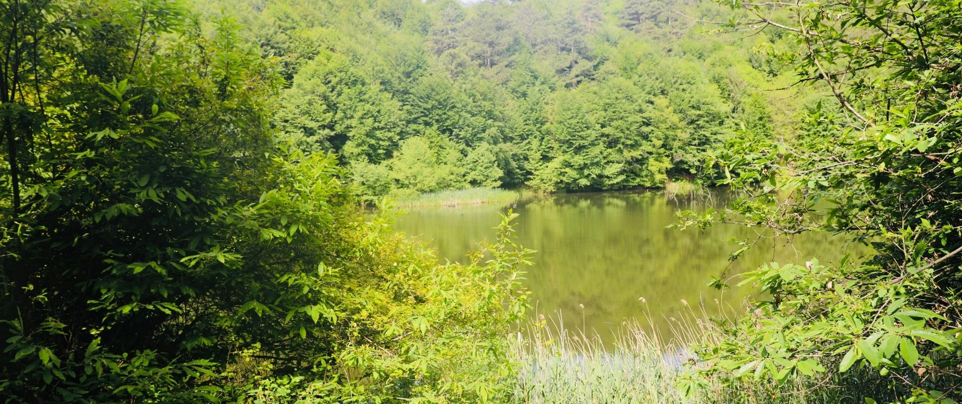 Dipsiz Lakes Yalova forest highlands Cinarcik Turkey