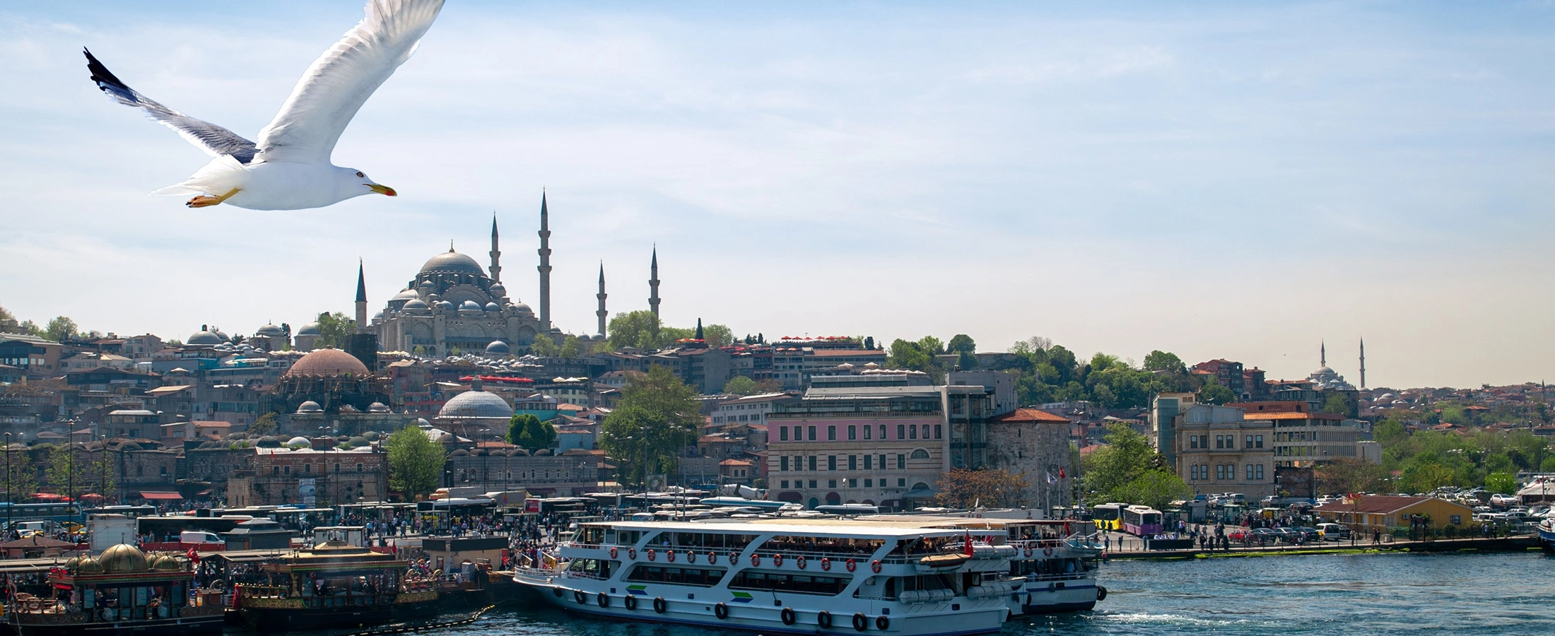 Eminonu Istanbul New Mosque Spice Bazaar Galata Bridge private historical walking tour