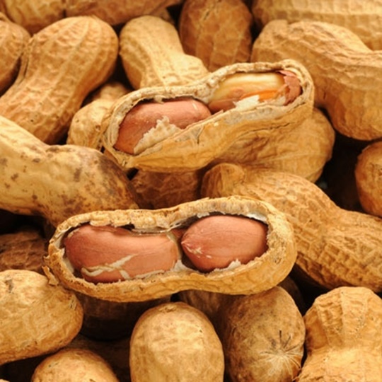 Osmaniye Peanuts