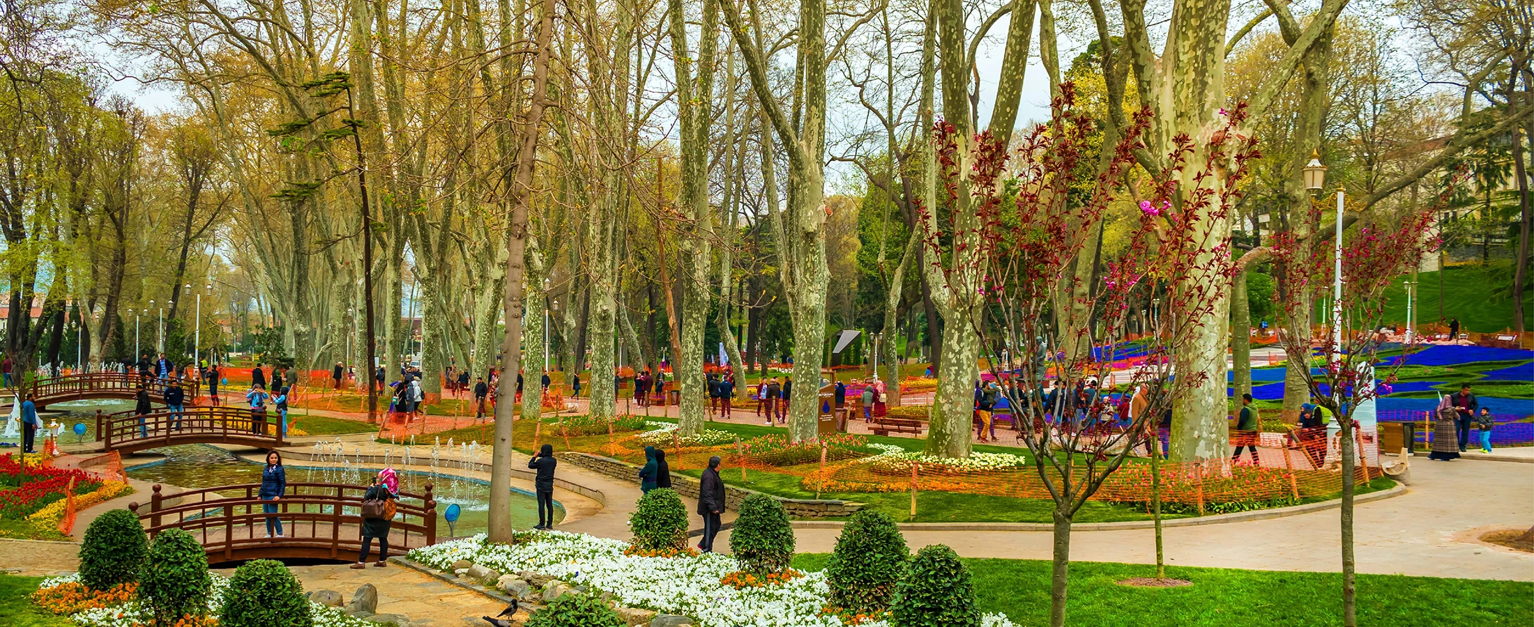 Gülhane Park Istanbul private history gardens Topkapi Palace and Historic Peninsula tour