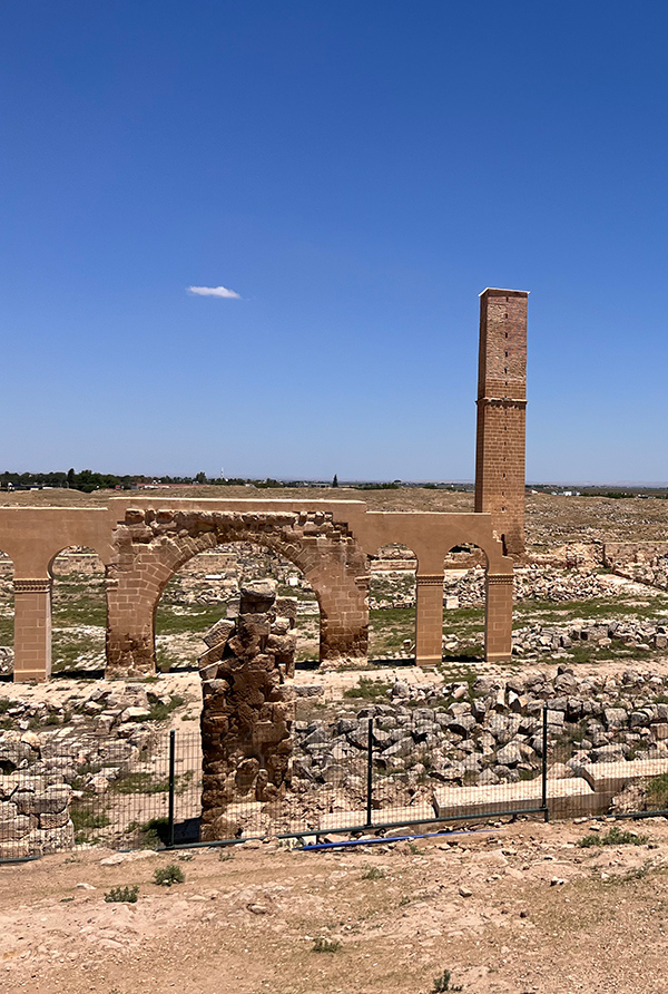 University of Harran