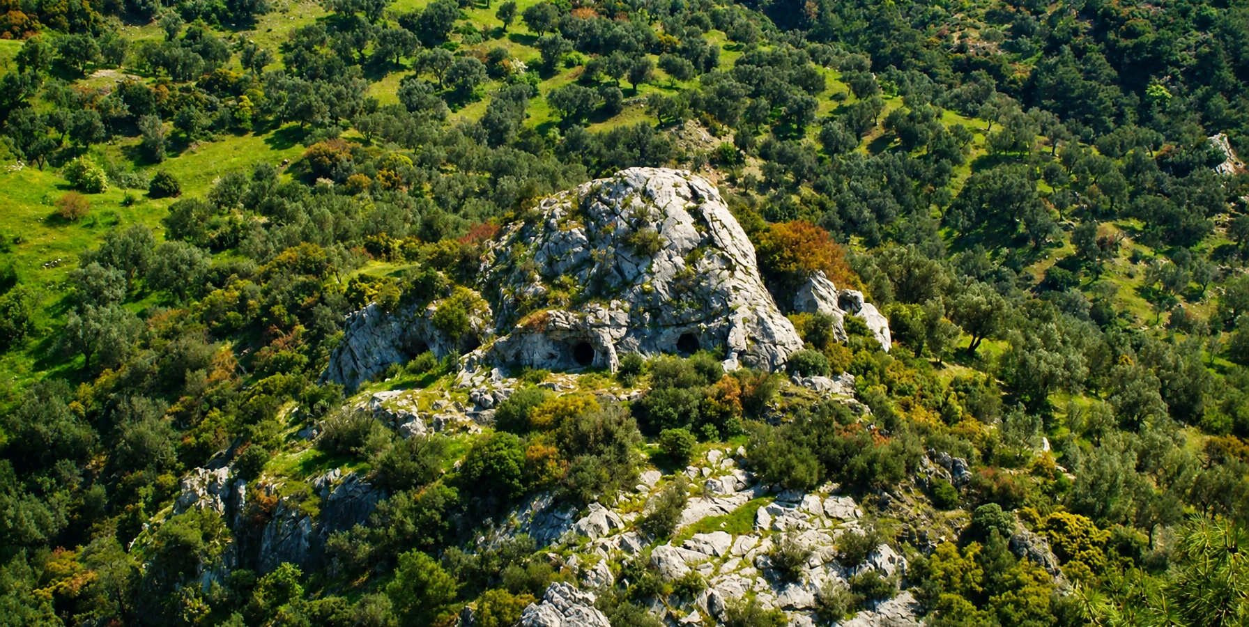 Homeros Valley natural landscape in Bornova Izmir Turkey