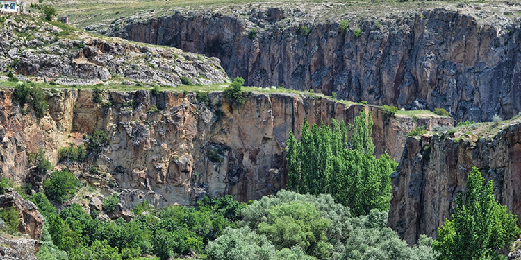 Red vs Green Tour Comparison