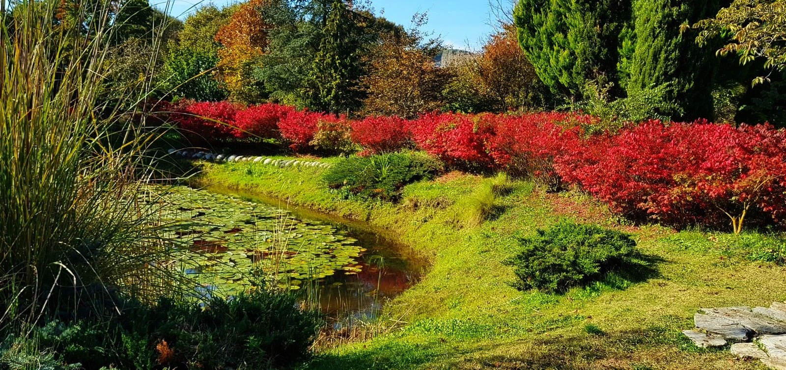 Karaca Arboretum botanical garden in Yalova
