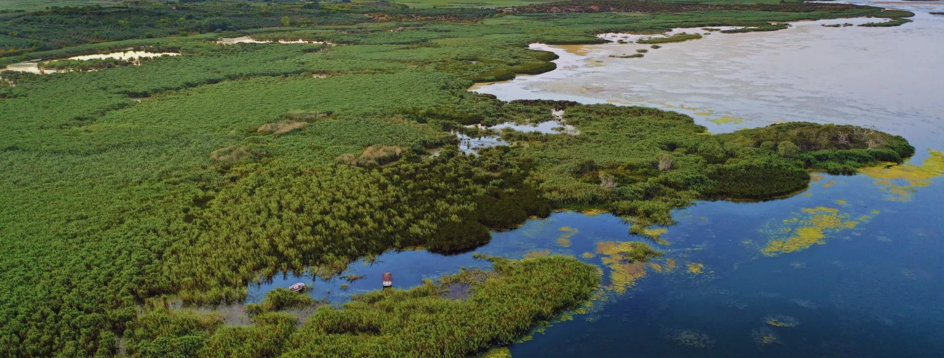 Karacabey Floodplain Forest Longoz wetlands and flooded woodland in Bursa Turkey