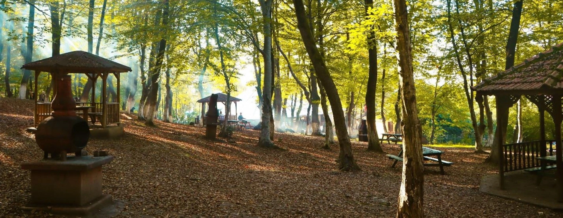 Kuzuluk Nature Park Akyazi Sakarya forest picnic area