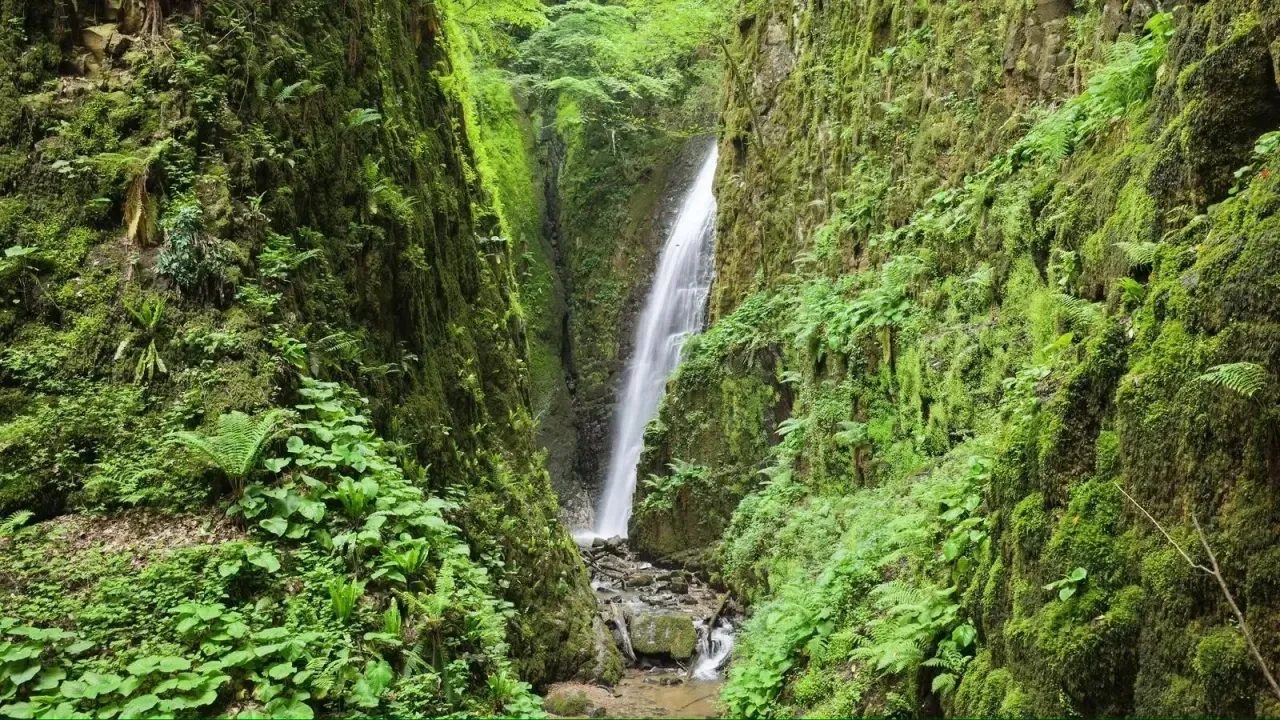 Nuzhetiye Waterfall Golcuk Kocaeli forest stream