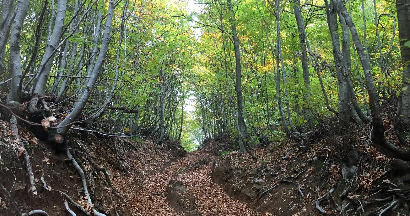 Teşvikiye Erikli waterfalls hiking forest Yalova Turkey