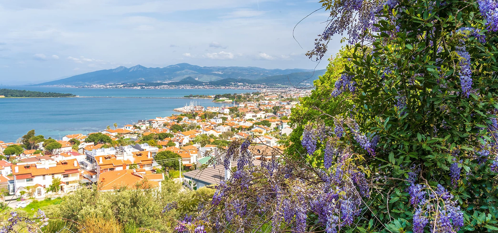 Urla Izmir historic town vineyards coastline and Aegean landscape Turkey