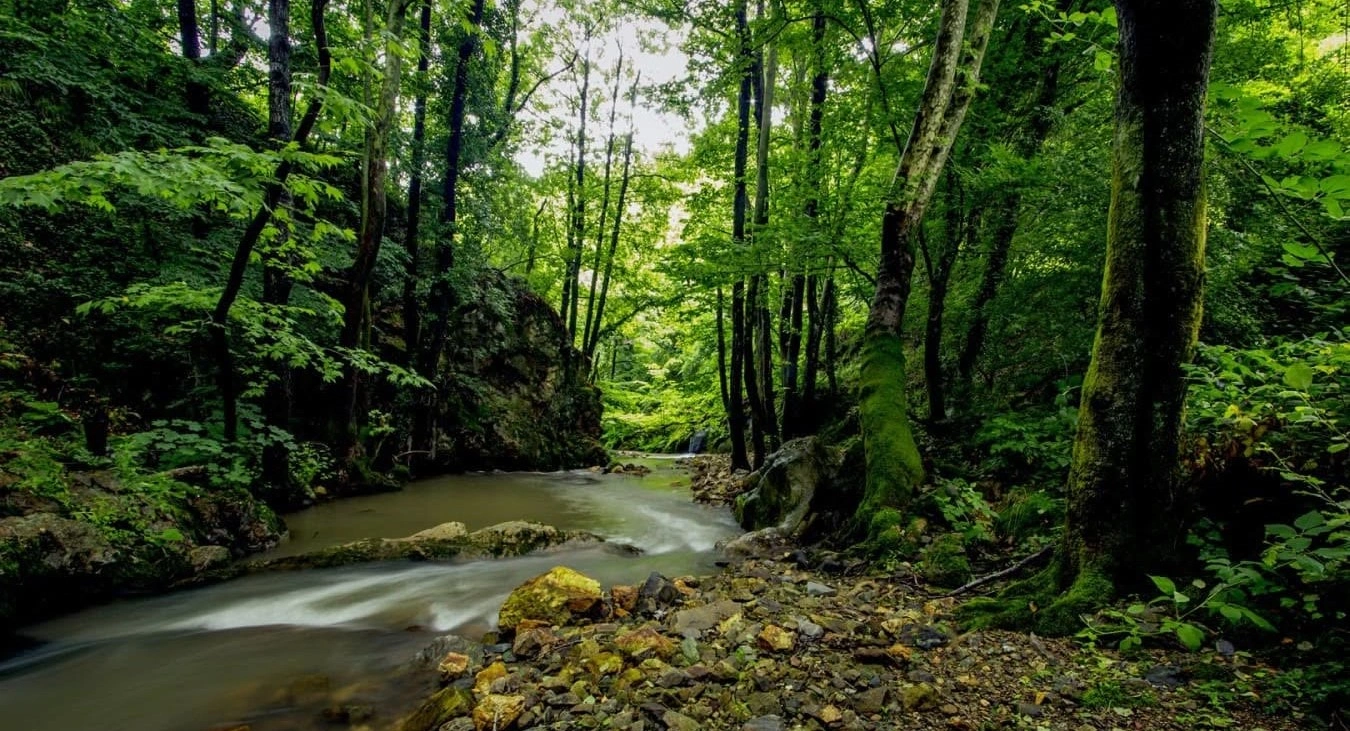 Yalova City Forest Turkey waterfalls and woodland