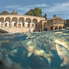 la Piscina de Abraham