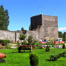 Castillo de Mus