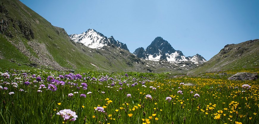 Parque Nacional de las Montañas Kaçkar