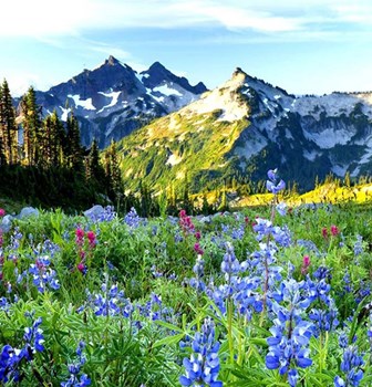 Kackar Mountains National Park