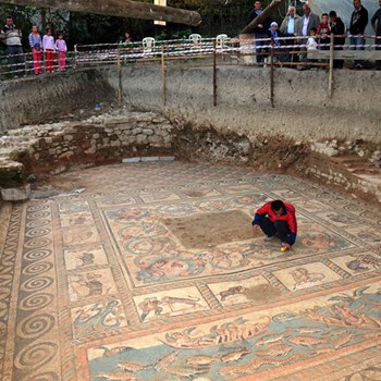 Kadioglu Mosaics