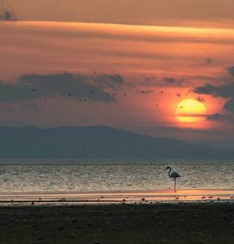 Lake Manyas Bird Paradise National Park