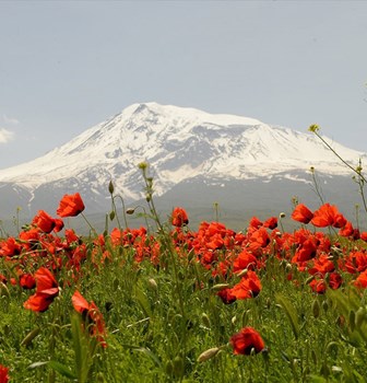 Mount Ararat