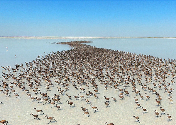 Visite du Lac Salé de Cappadoce
