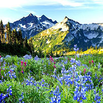 Kaçkar-Gebirge-Nationalpark