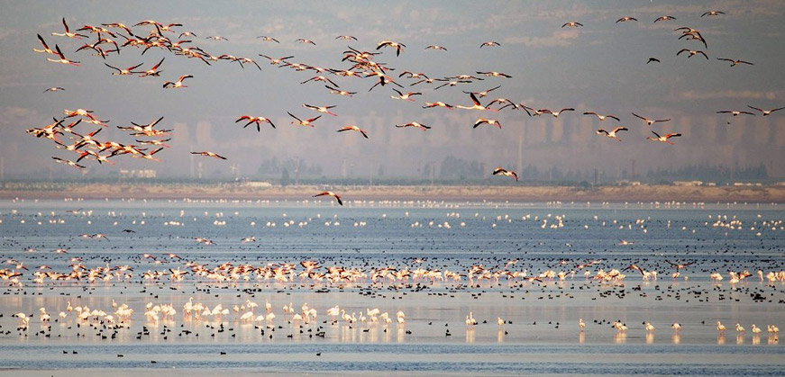 Naturschutzgebiet Akyatan