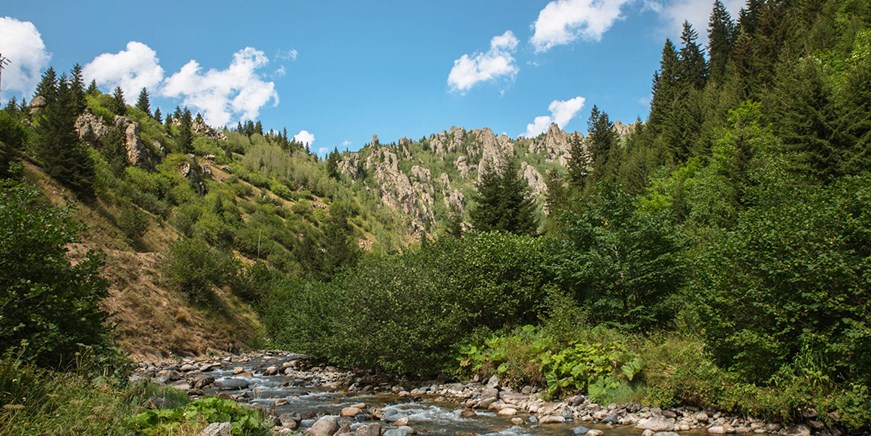 Anzer-Hochebene und Honig