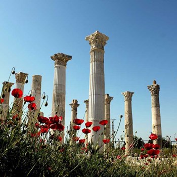 Antike Stadt Soli Pompeiopolis