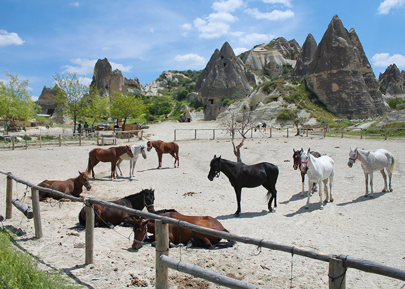 Tour a Cavallo in Cappadocia
