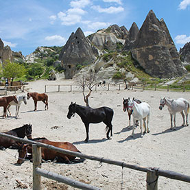 Tour a Cavallo in Cappadocia