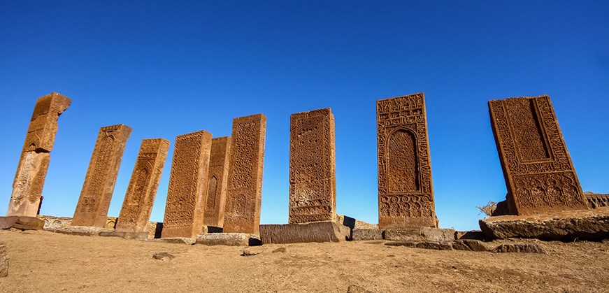 Cimitero di Ahlat Seljuk (Selçuklu Meydan Mezarlığı)
