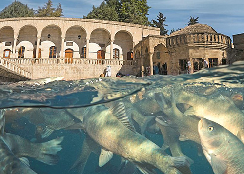 Tour privado a Zeugma, Harran e Gobeklitepe saindo da Capadócia (2 dias - 1 noite)