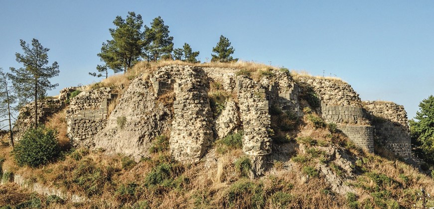 Artuklu Palace
